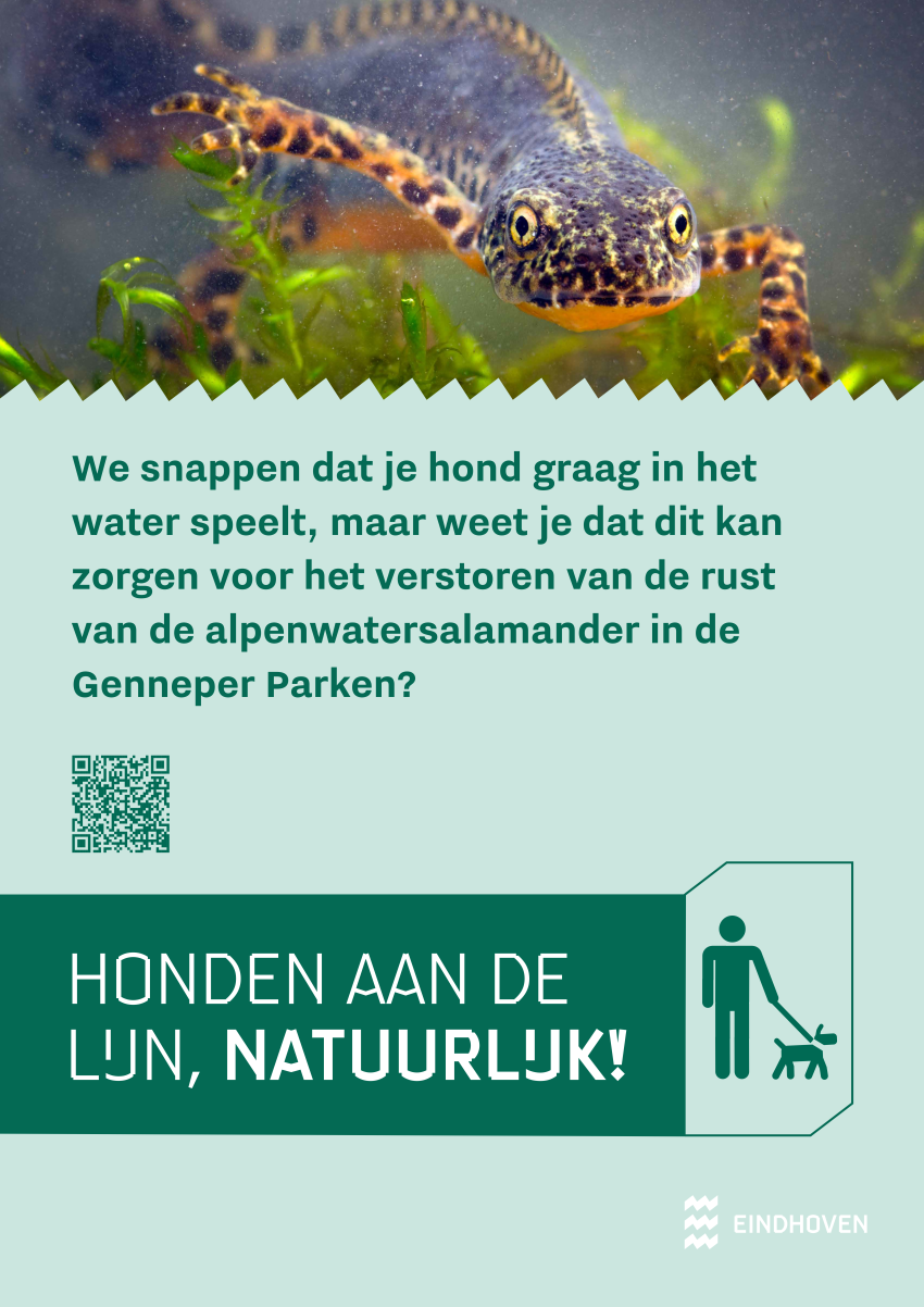 Honden aan de lijn, natuurlijk!