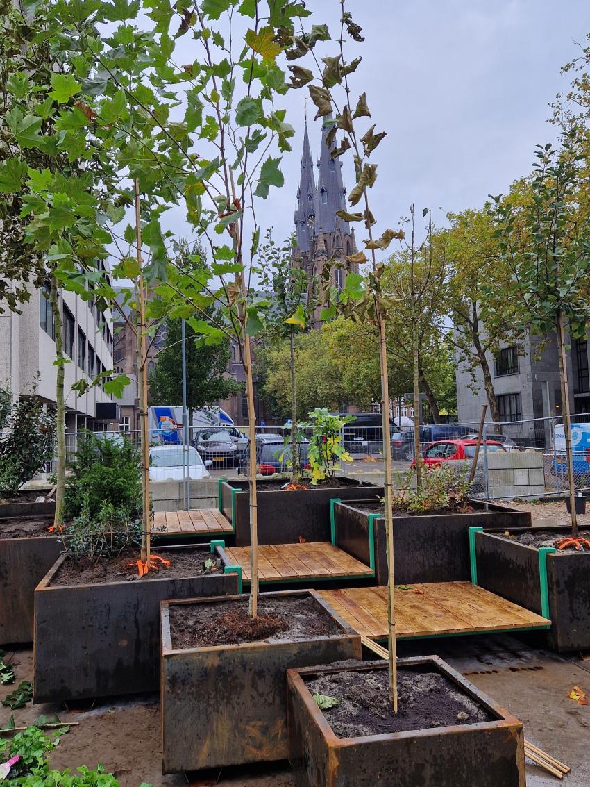 aantal bakken met bomen