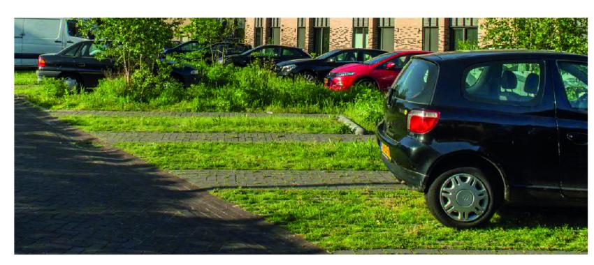 Het parkeren passen we in de middenberm in zodat er geen auto’s direct voor de gevels en terrassen staan. De materialisatie van het parkeren past bij een groene middenberm: grasbetontegels. In de middenberm blijven de bestaande bomen behouden en worden nieuwe bomen, heesters en onderbeplanting toegevoegd. 