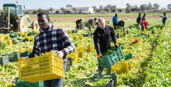 mensen werkend op het land 